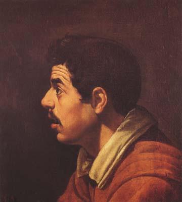 Diego Velazquez Portrait de Jenne homme de profil (df02) France oil painting art